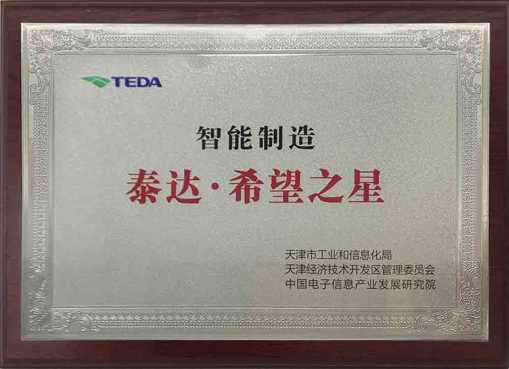 智能制造-泰达希望之星